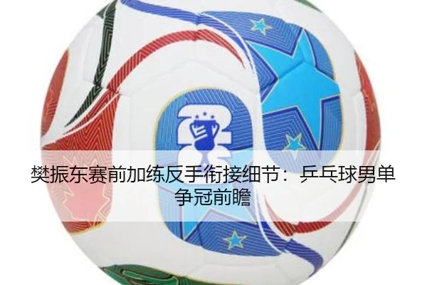 樊振东赛前加练反手衔接细节：乒乓球男单争冠前瞻 - leyu